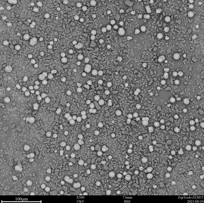 500倍臺式掃描電鏡拍攝圖 500倍臺式掃描電鏡拍攝圖