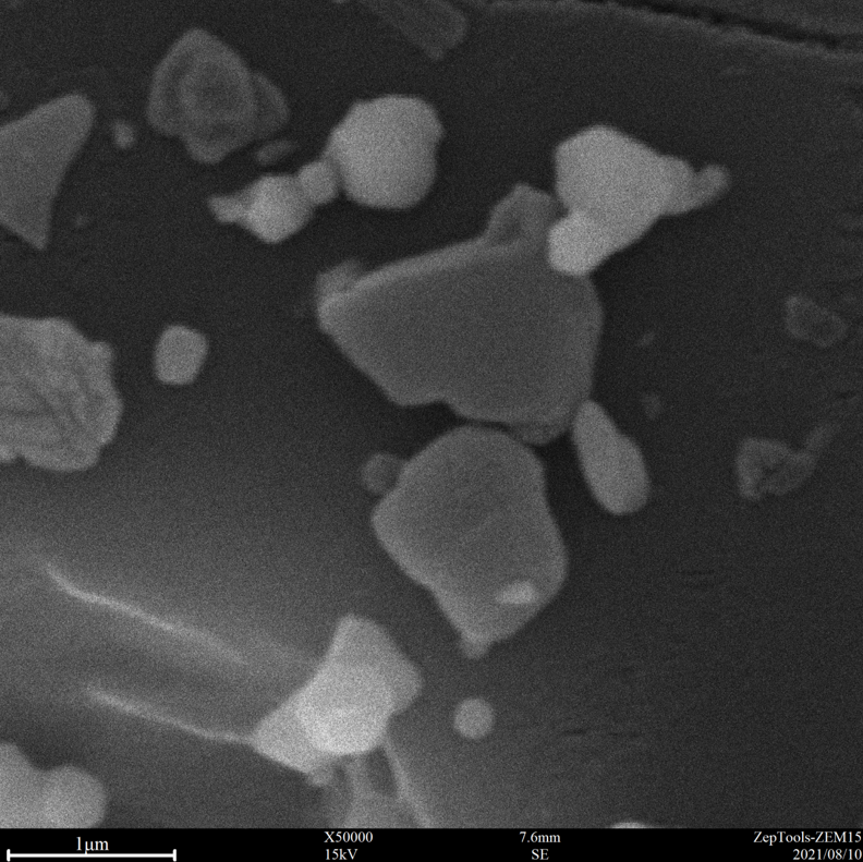 50000倍臺式掃描電鏡拍攝圖 50000倍臺式掃描電鏡拍攝圖