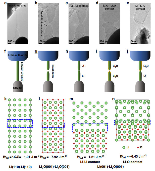 原位TEM電學(xué)樣品桿觀測(cè)鋰支晶形成、拉斷過程