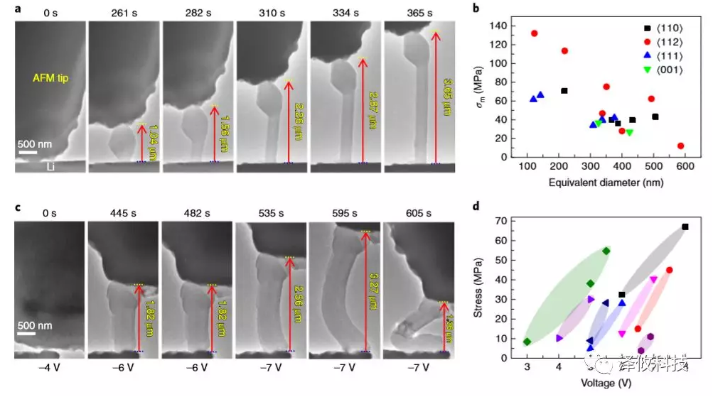 鋰晶須生長的原位AFM-ETEM成像以及在施加電壓下同時(shí)測量鋰晶須的應(yīng)力變化。