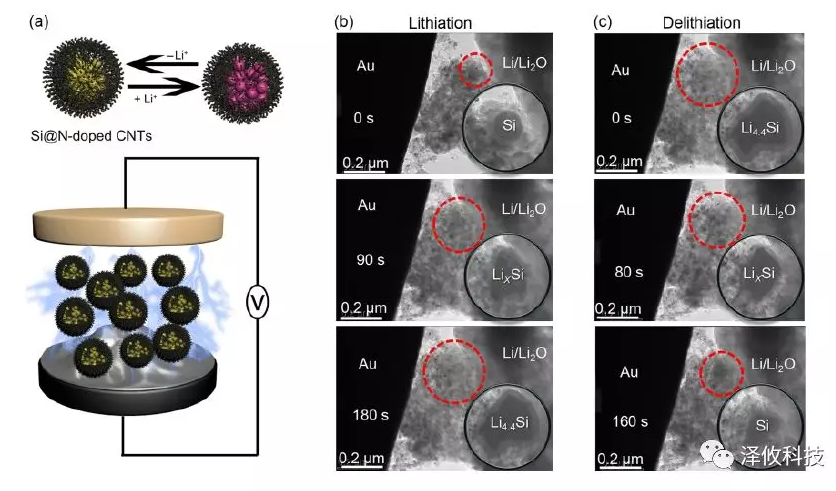 原位觀測(cè)Si@N-doped CNTs陽(yáng)極的充放電過(guò)程