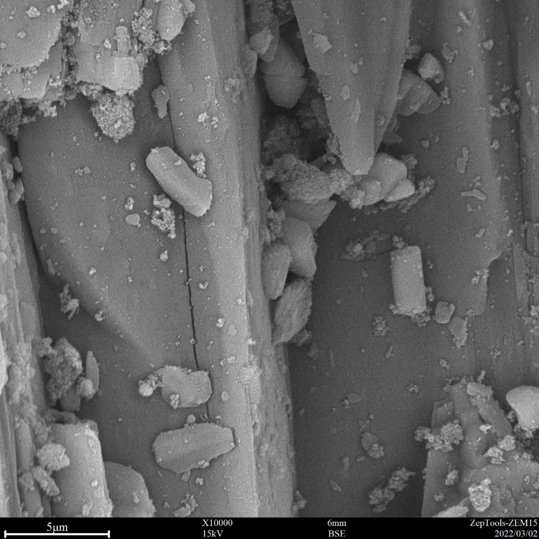 圖6 頭孢稀釋劑(臺(tái)式掃描電鏡10000倍照) 圖6 頭孢稀釋劑(臺(tái)式掃描電鏡10000倍照)