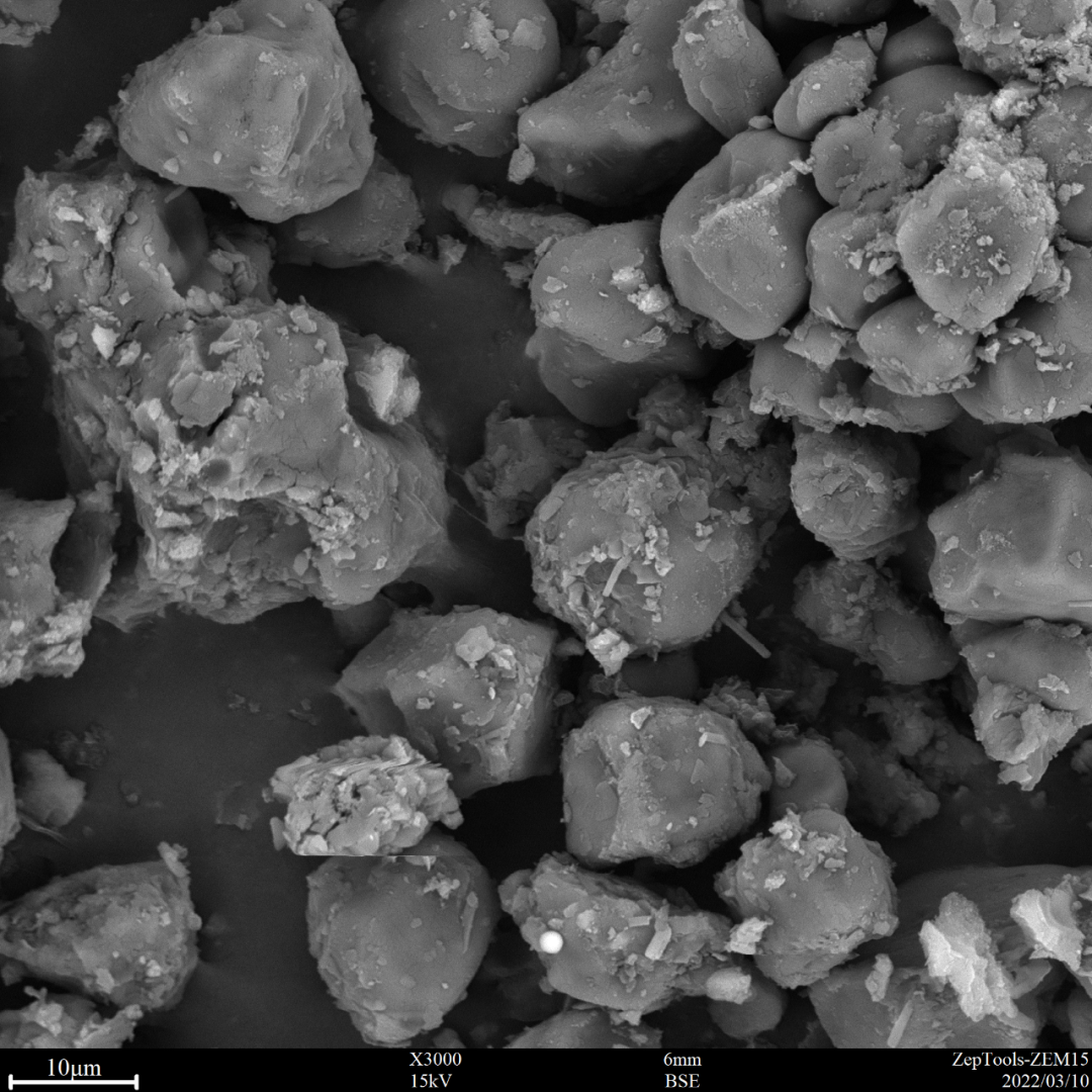 圖11 氯雷他定(臺(tái)式掃描電鏡3000倍照) 圖11 氯雷他定(臺(tái)式掃描電鏡3000倍照)