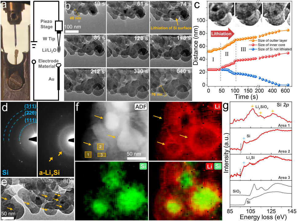 原位電子顯微學揭示鋰化過程中結構與化學環(huán)境動態(tài)演化過程 原位電子顯微學揭示鋰化過程中結構與化學環(huán)境動態(tài)演化過程
