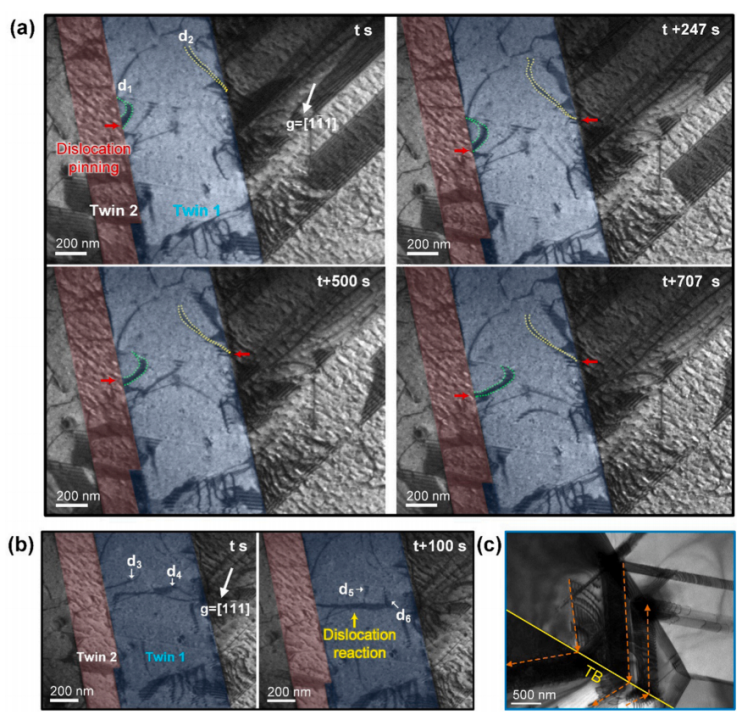 NiCoCrO合金與TWIP HEA的原位TEM拉伸實(shí)驗(yàn)2