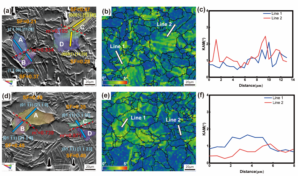 澤攸科技原位SEM
