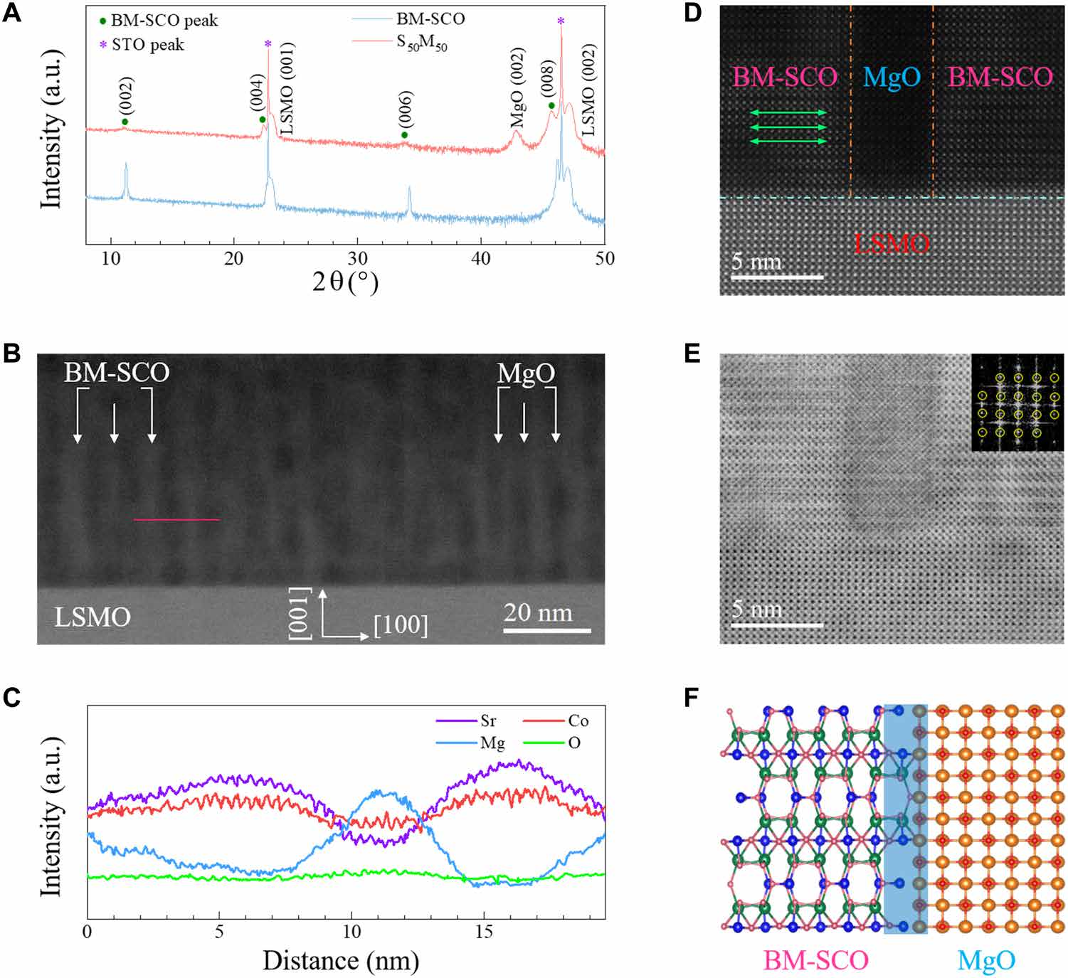 澤攸科技原位TEM 澤攸科技原位TEM