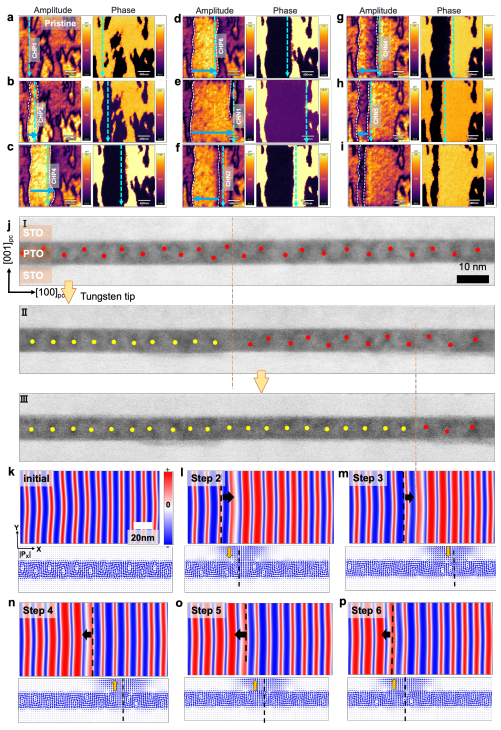 澤攸科技原位TEM