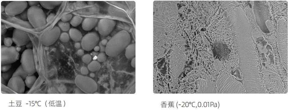 電子顯微鏡技術(shù) 電子顯微鏡技術(shù)