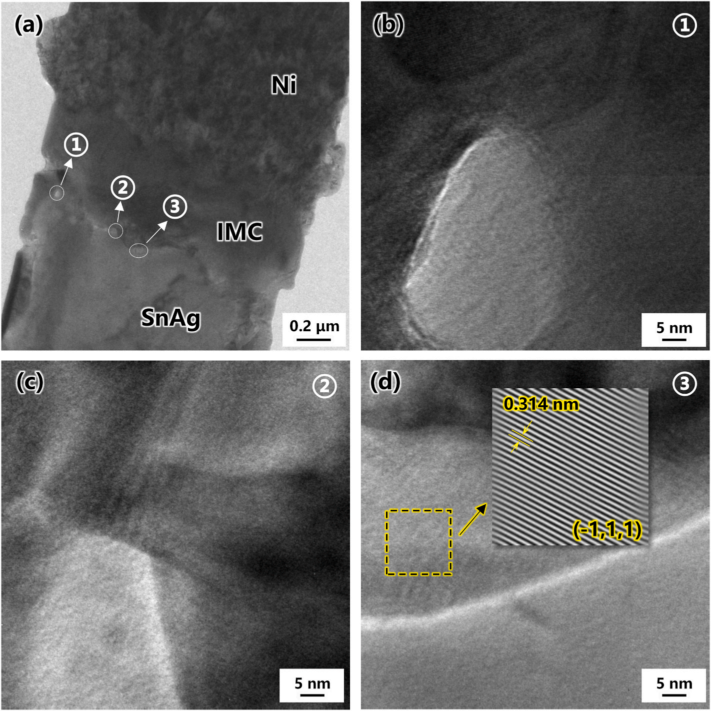 澤攸科技原位TEM